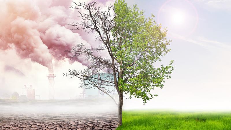 Green House Gas Emissions to Reduce Carbon Footprint