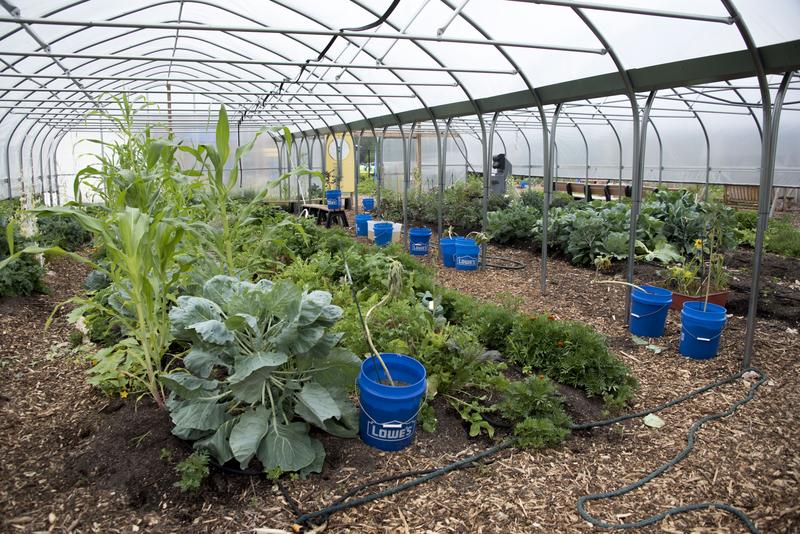 Greenhouses Used for Learning
