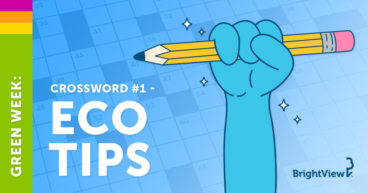 Eco Tips Crossword Thumbnail