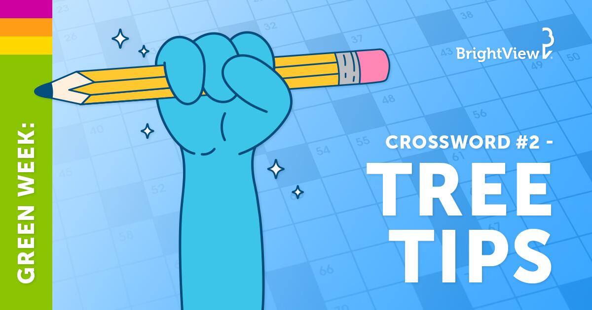 Tree Tips Crossword Puzzle