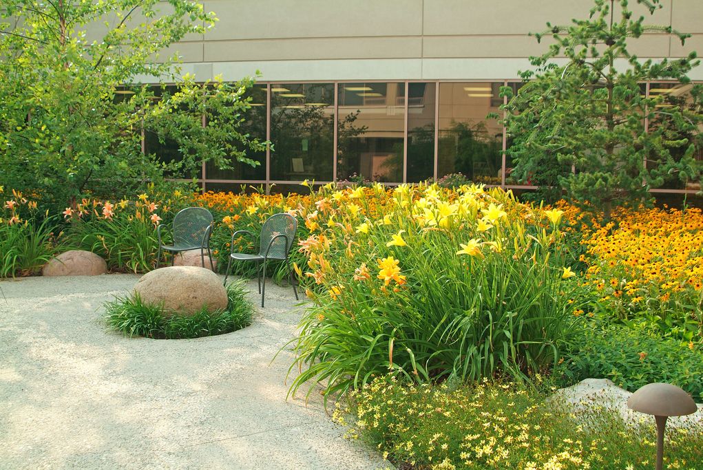 Landscapes that Promote Healing