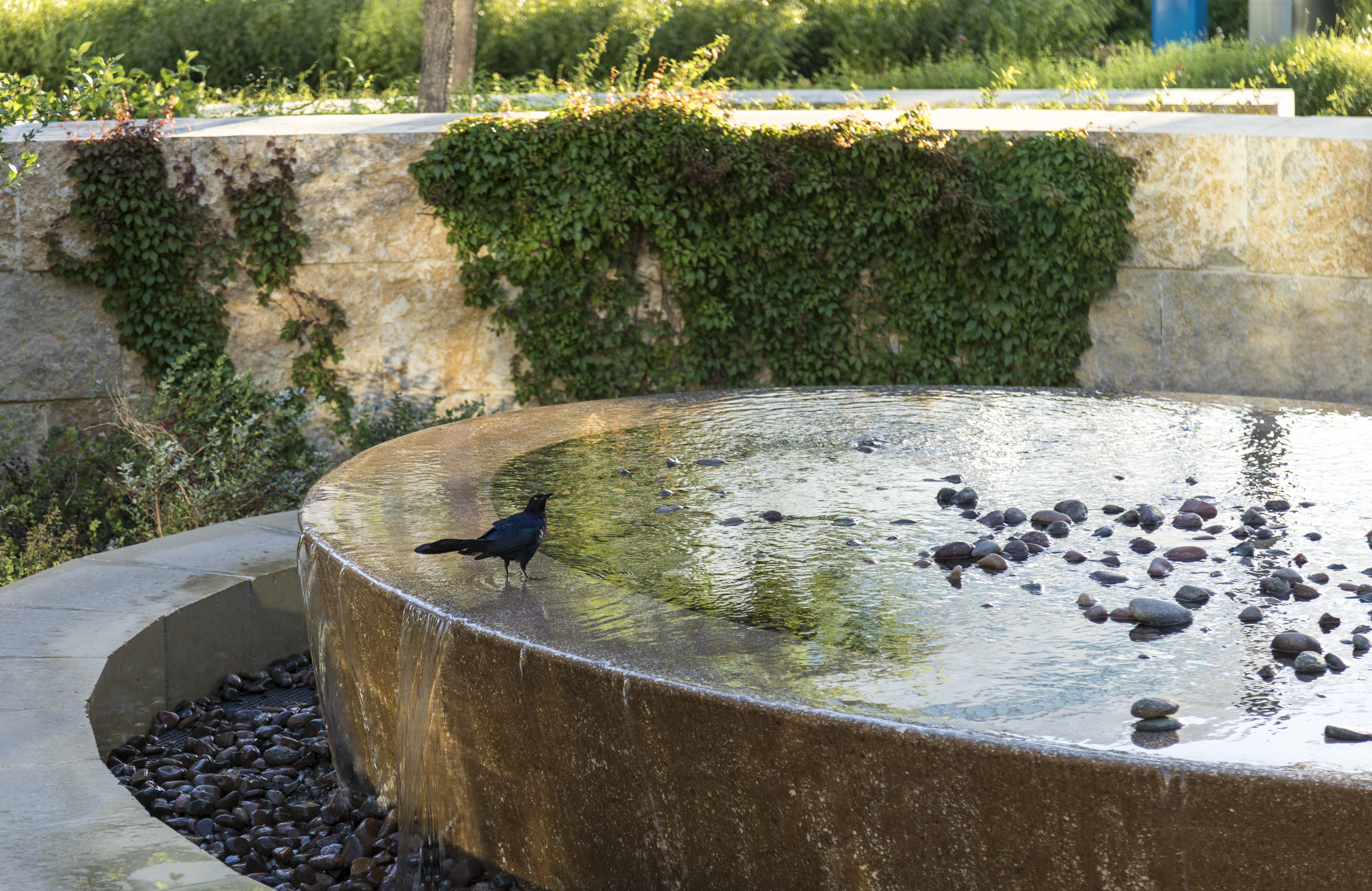 Hospital Landscapes that Help Patients Heal