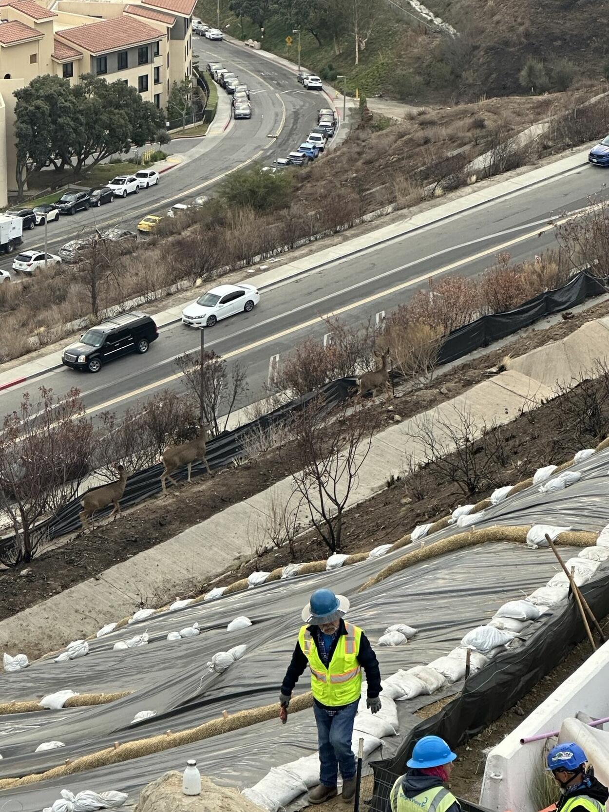 BrightView stabilizes wildfire ravaged hillsides around Pepperdine University