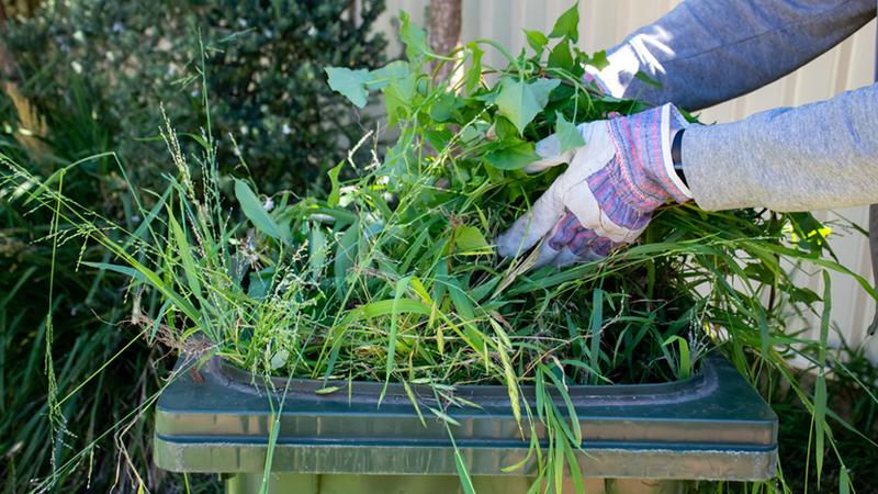 Reduce Waste and Environmental Sustainability