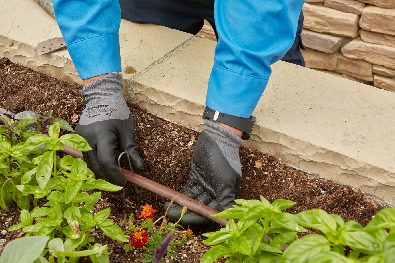 close up of a landscape drip line in a flower bed