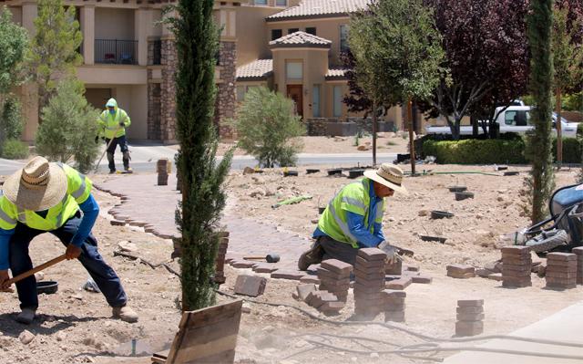 Turf Conversion Install Crew