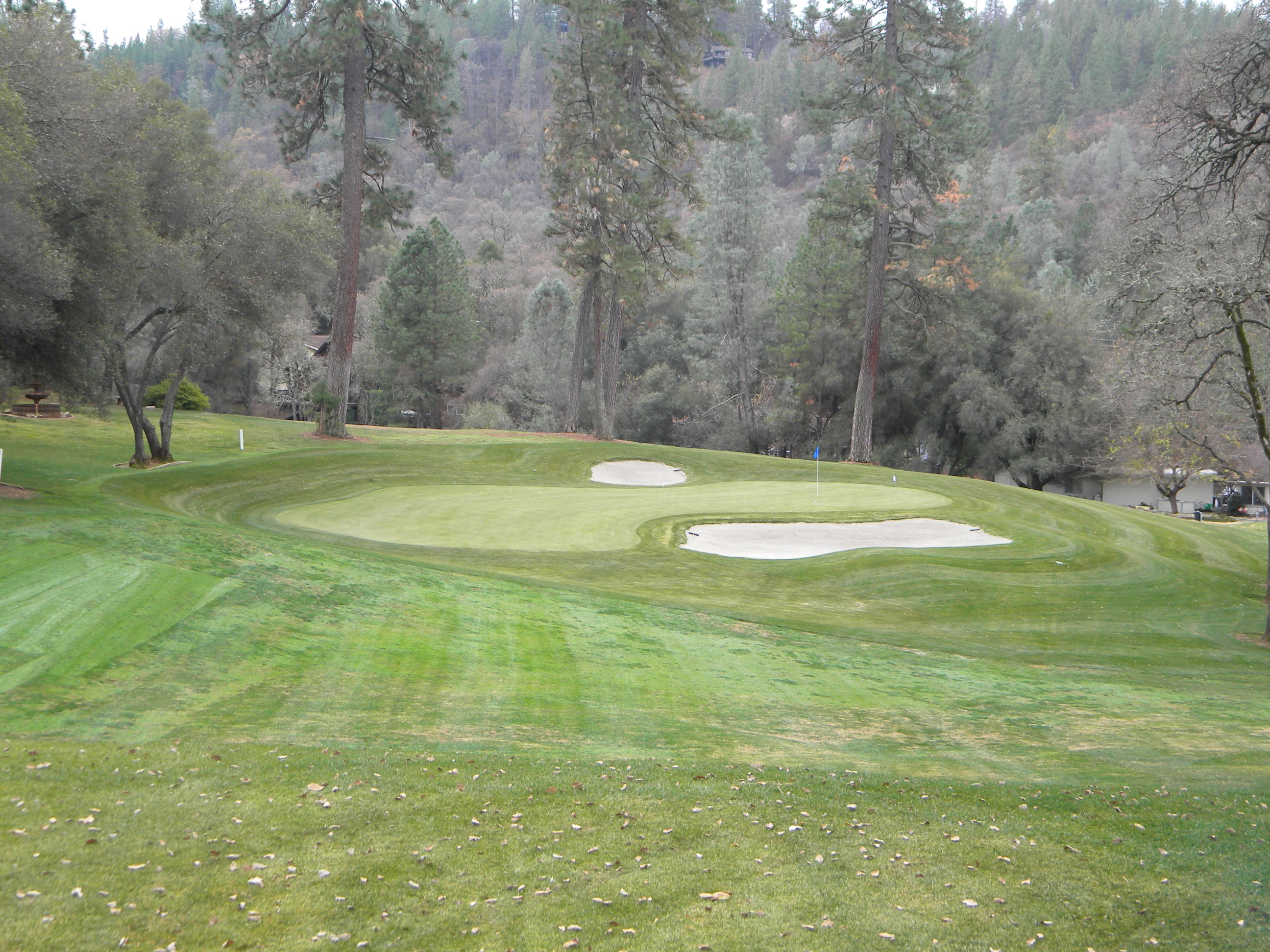 Recently renovated hole number 7 at Lake of the Pines