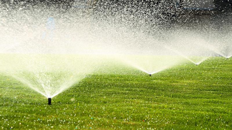 Water Conservation & Environmental Sustainability