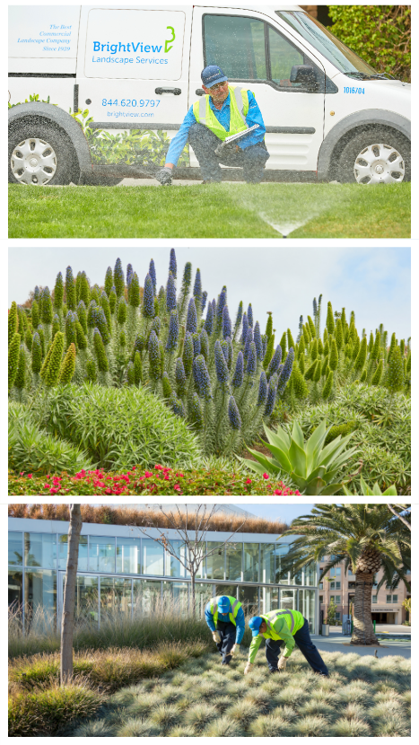 Water Management Reduces Water Bill