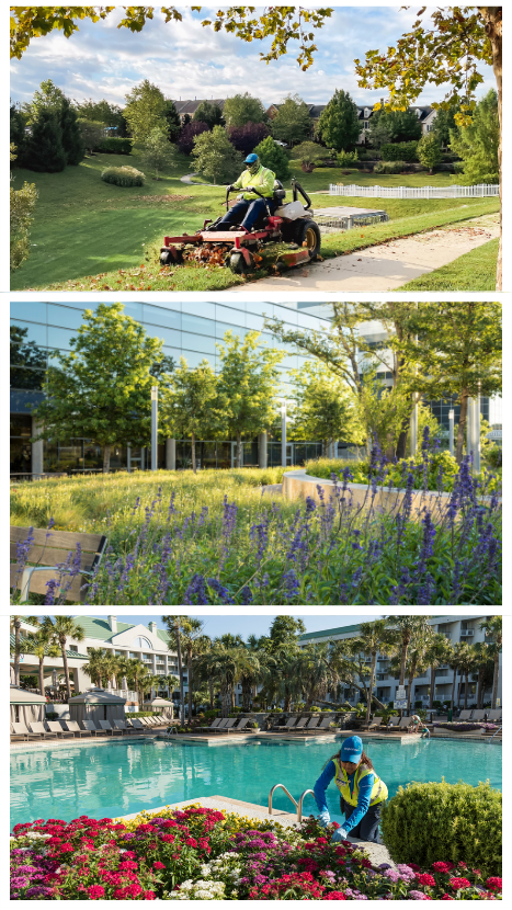 Landscape Maintenance Checklist