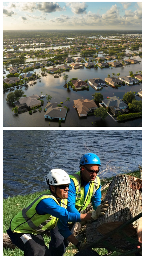 With extensive experience in post-storm cleanups and natural disaster knowledge, BrightView is well-equipped to quickly mobilize crews and equipment to support emergency response, clear roadways, and maintain essential services wherever storms hit.