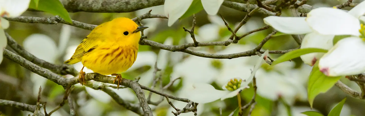 4 Supercharged Tips to Enhance Your Landscape