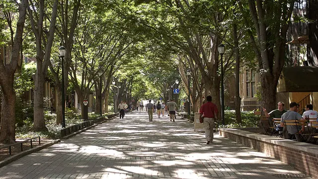 University of Pennsylvania Trees