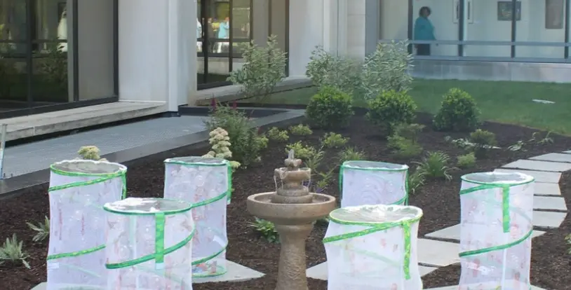 Butterfly Garden at Nemours Hospital