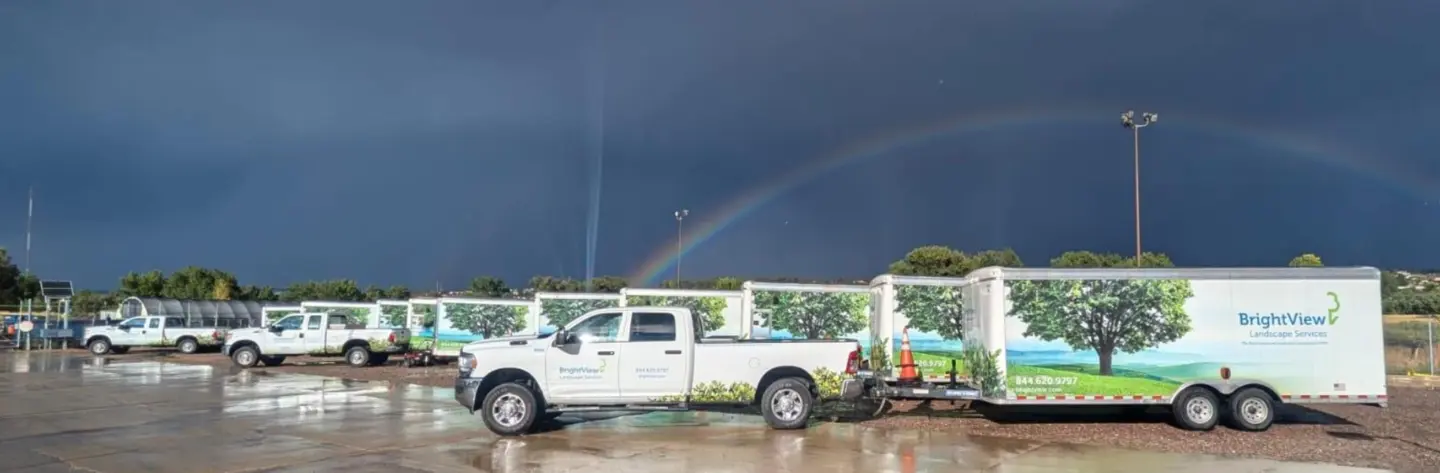 Dig Into Development