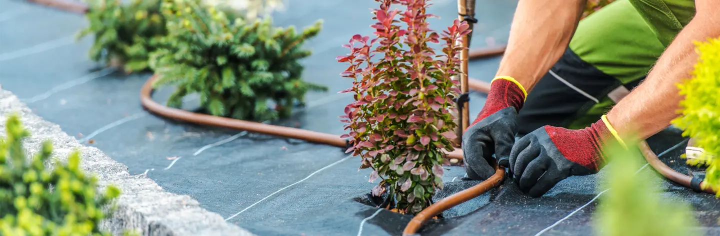 Person using irrigation techniqes.