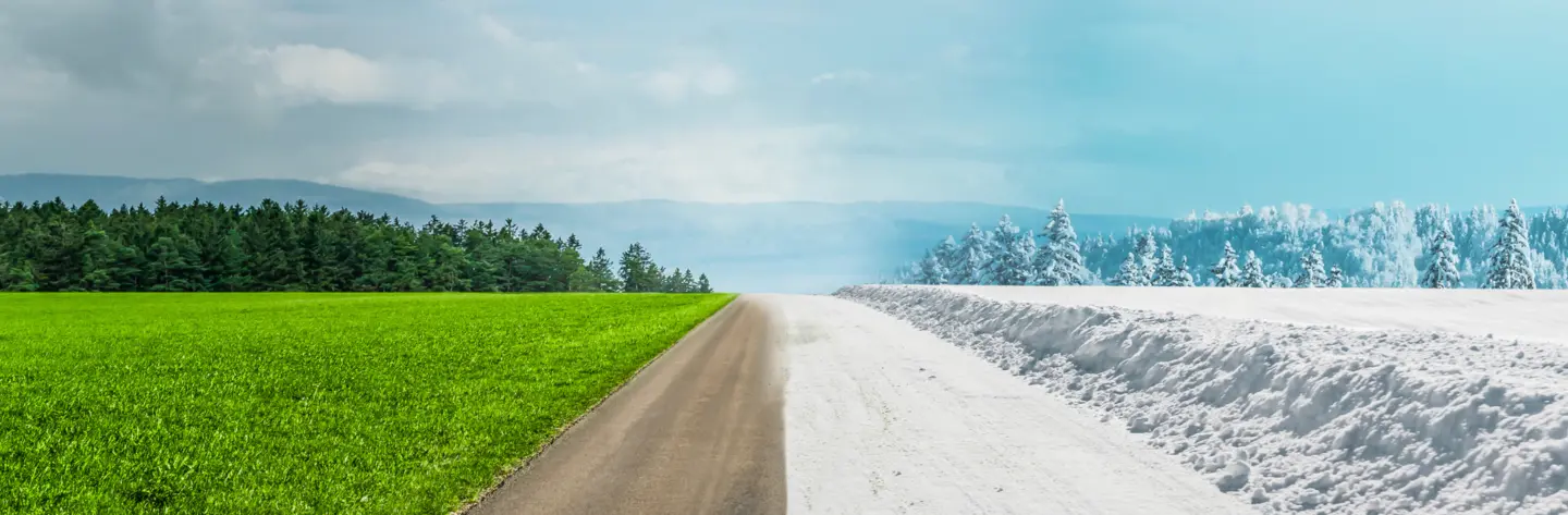 Summer Snow Article Hero