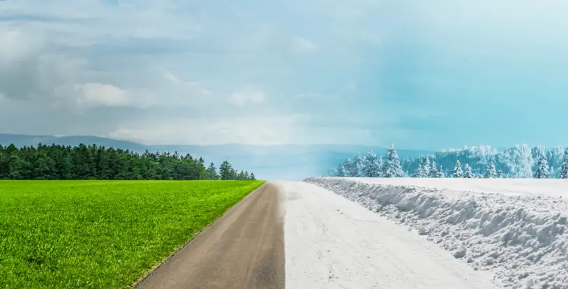 Summer Snow Article Thumbnail