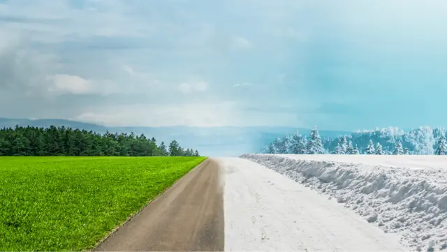 Summer Snow Article Thumbnail