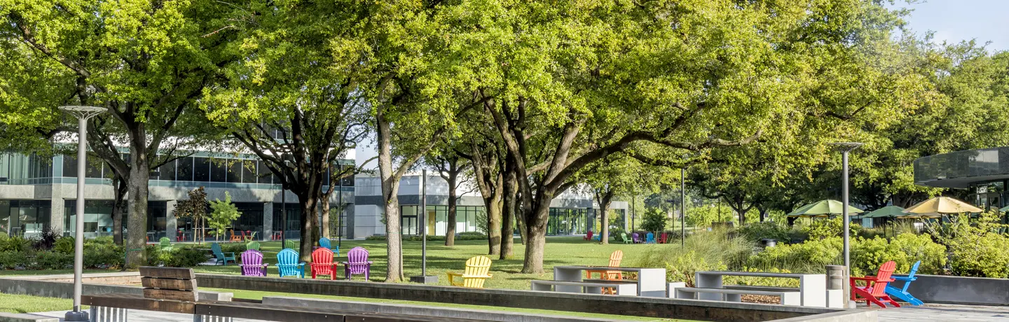 How to Preserve Your Trees During Drought