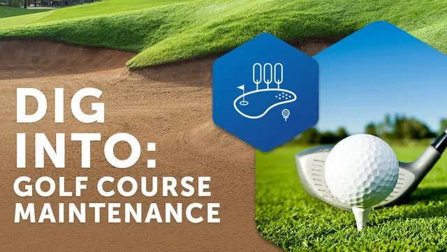 Dig Into Golf