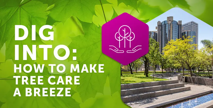 Dig Into How to Make Tree Care a Breeze
