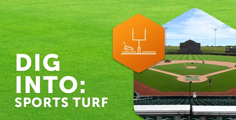 Dig Into Sports Turf