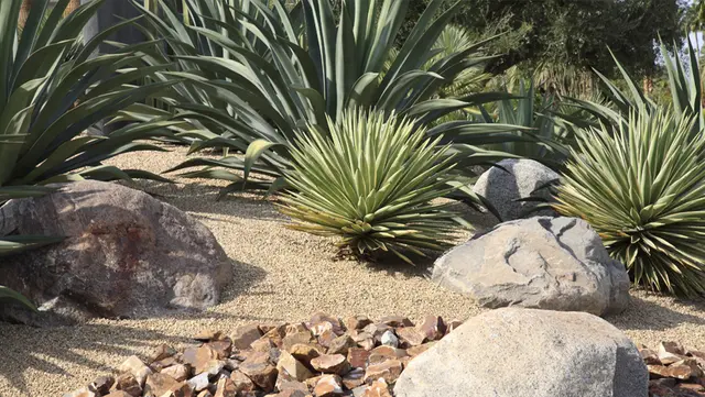 Drought Friendly Landscape
