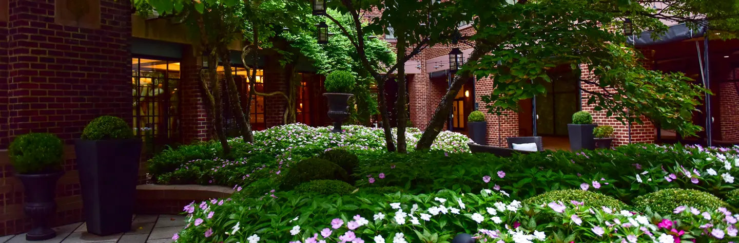 Landscape of a courtyard with purple flowers and green trees.