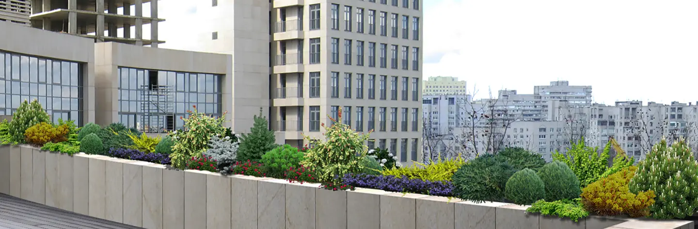 High Rise Landscape Trends