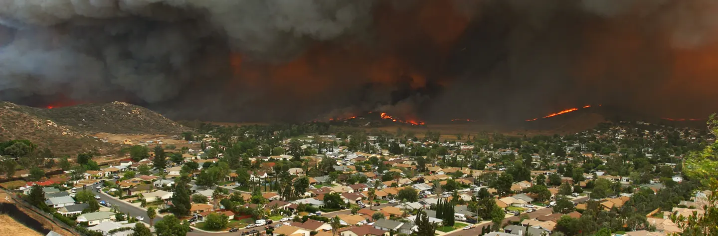 Weed Abatement is Important