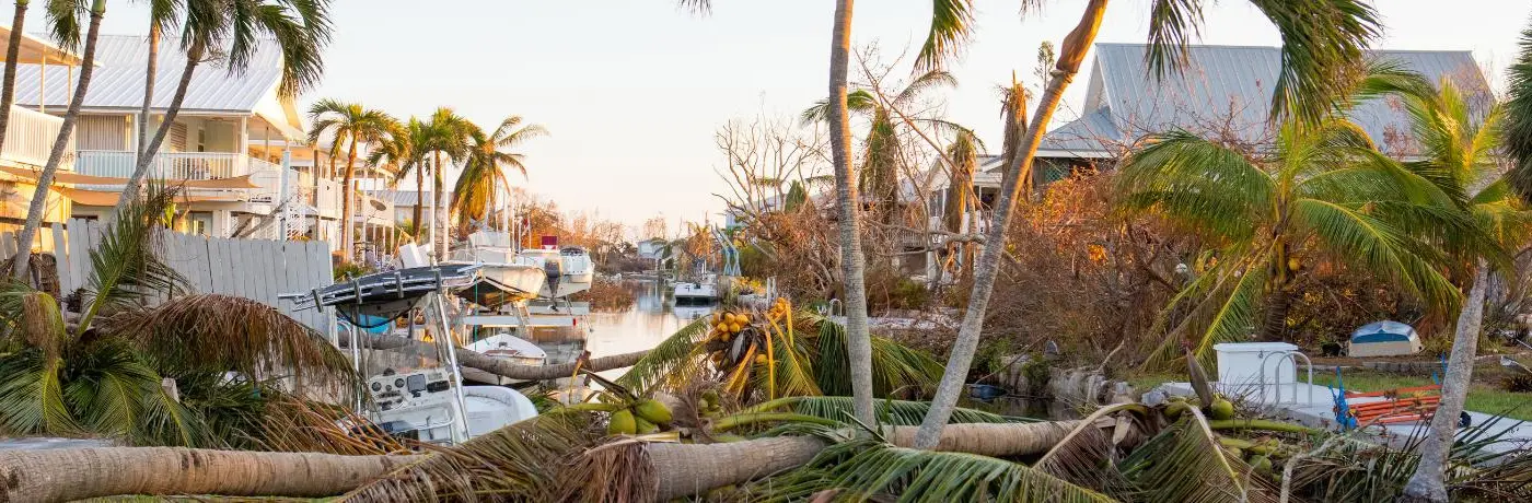 Landscape hurricane destruction