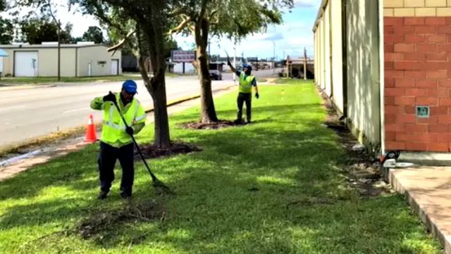 Hurricane Laura BrightView cleanup