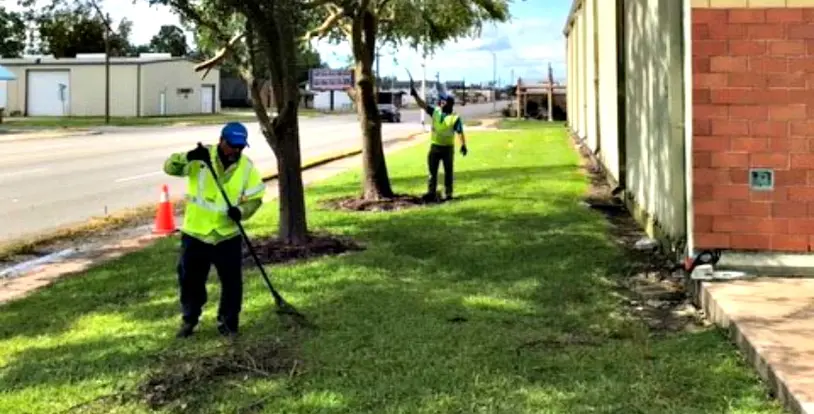 Hurricane Laura BrightView cleanup