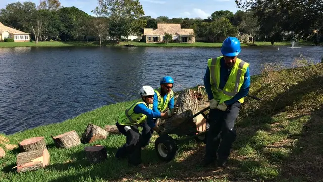 Hurricane Matthew related