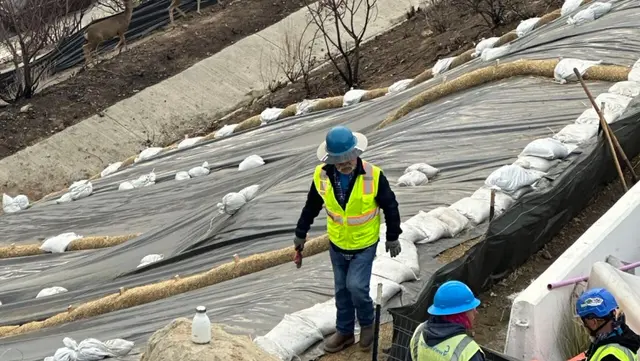 BrightView team member wildfire destruction landscape