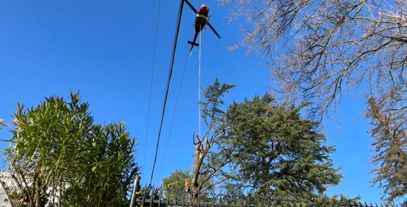 BrightView Tree Care helicopter