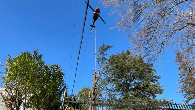 BrightView Tree Care helicopter