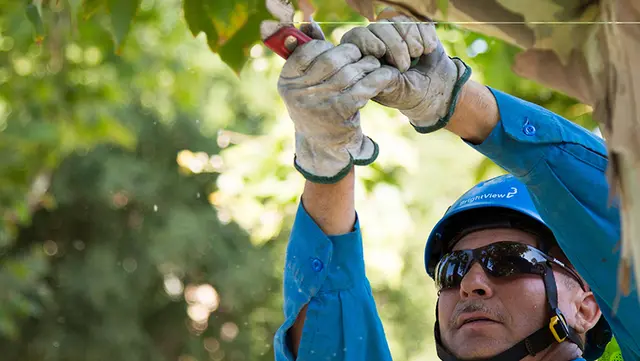 Safety Week 2 Related Image 