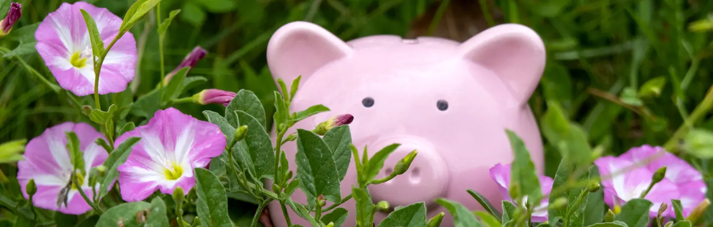 5 Clever Ways to Maximize Your HOA’s Landscaping Budget