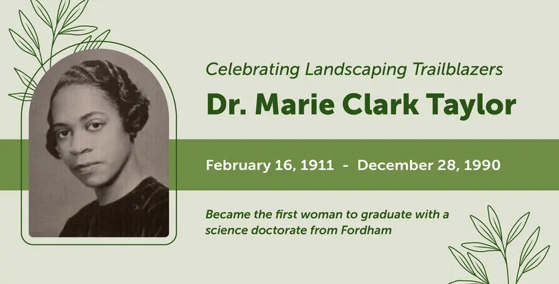 Dr. Marie Clark Taylor